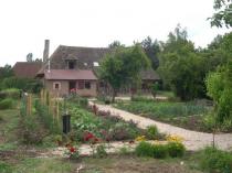 2004-06-25-Potager-2.jpg